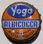 Kronkorken Yoga Albicocca Italien 1976 1970er orangen Yoga Albicocca Succo e Polpa Massalombarda