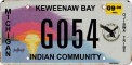 Nummernschilder / Kfz-Kennzeichen USA 1988 1980er Michigan MI tribe