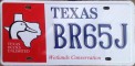 Nummernschilder / Kfz-Kennzeichen USA 2000 2000er Texas TX